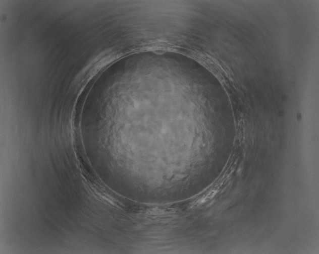 X0000051240290200506171117