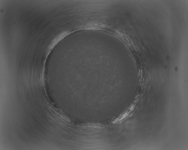 X0000051240292200506171117