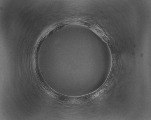 X0000051240293200506171117