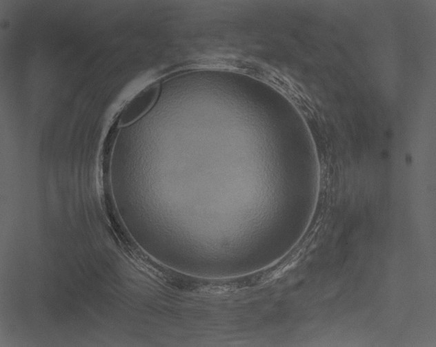 X0000051240294200506171117