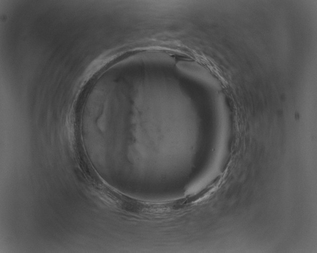 X0000051240295200506171117