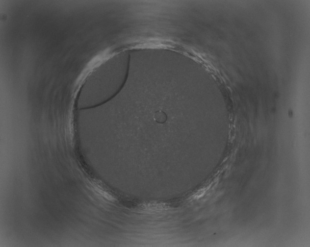 X0000051240296200506171117