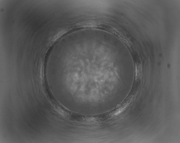 X0000051240301200506171117