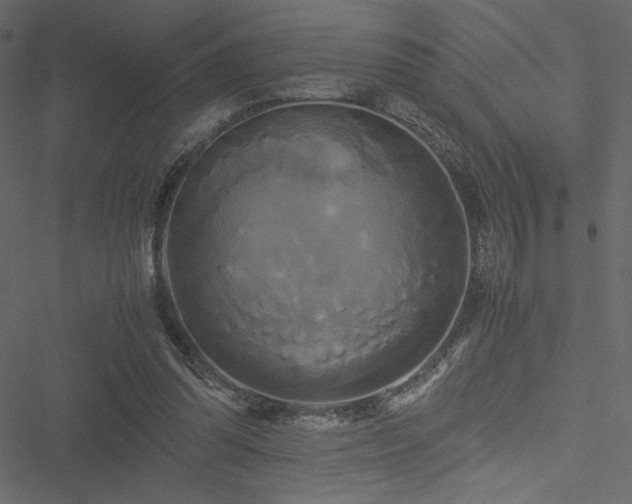 X0000051240302200506171117