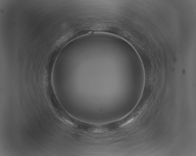 X0000051240303200506171117