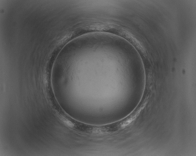 X0000051240305200506171117