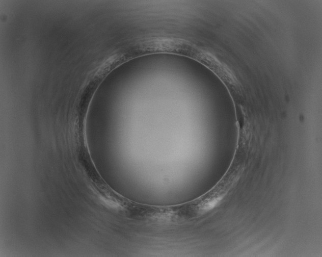 X0000051240306200506171117