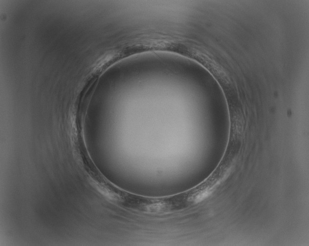 X0000051240309200506171117