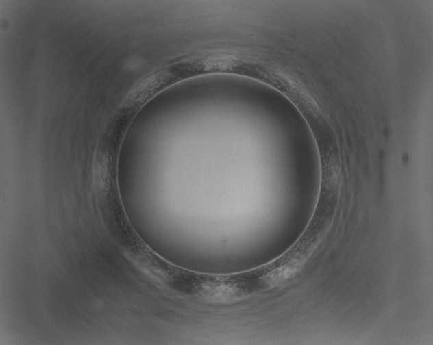 X0000051240311200506171117