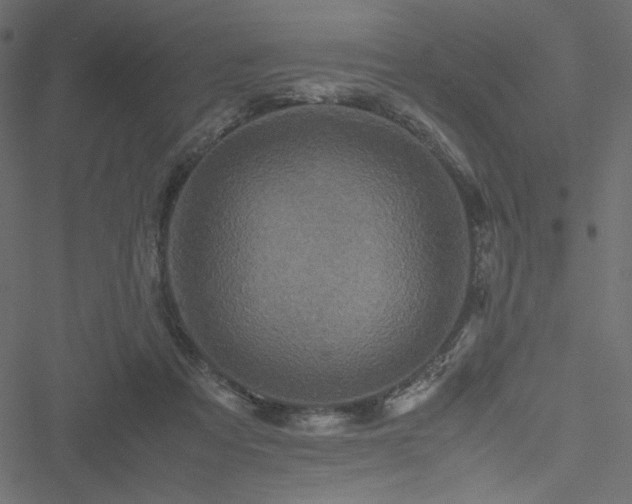 X0000051240313200506171117