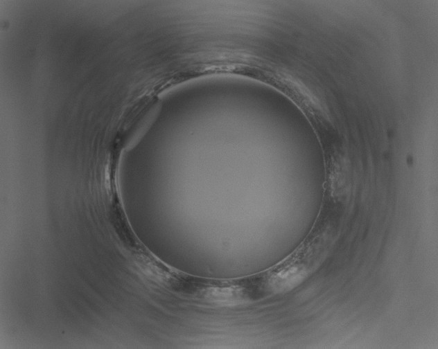 X0000051240314200506171117