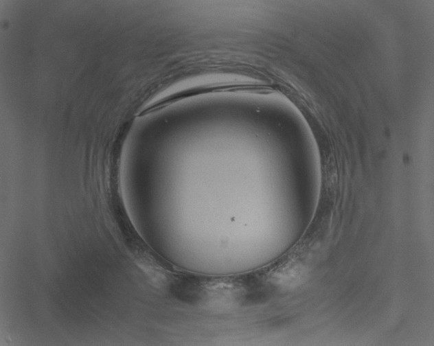 X0000051240315200506171117