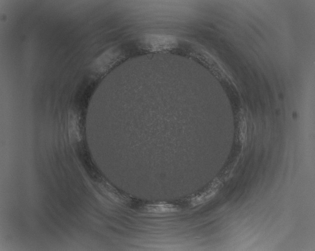 X0000051240316200506171117