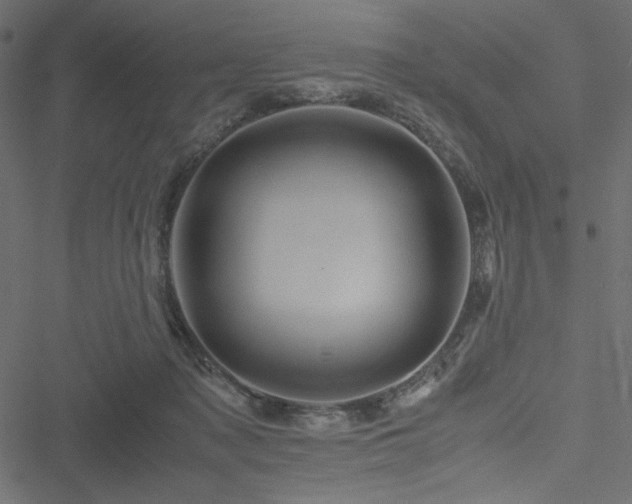 X0000051240317200506171117