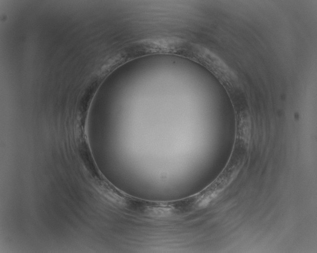 X0000051240318200506171117