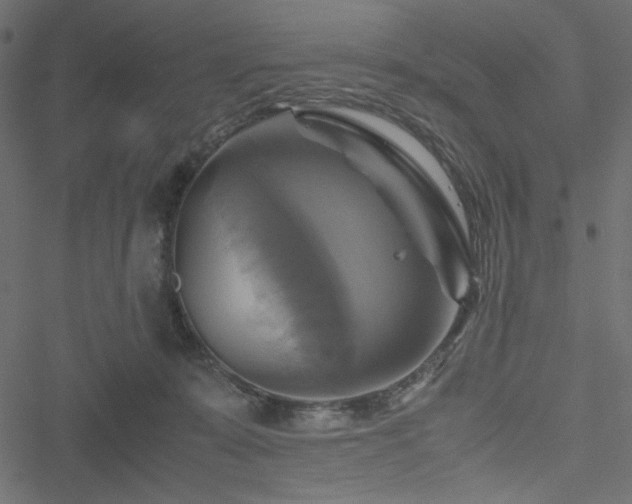 X0000051240319200506171117