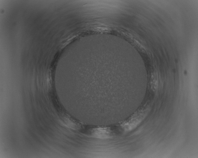 X0000051240320200506171117