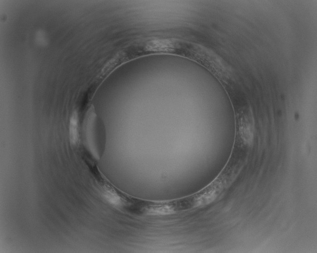 X0000051240322200506171117