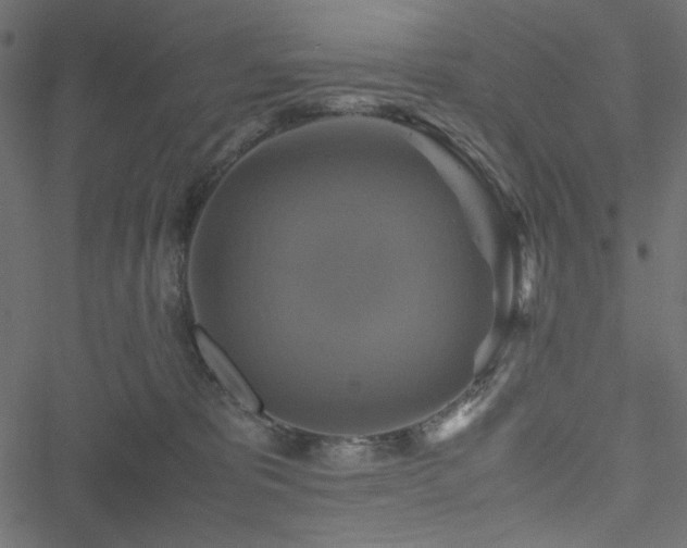 X0000051240325200506171117