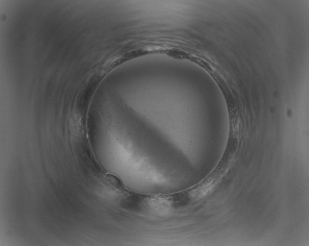 X0000051240327200506171117