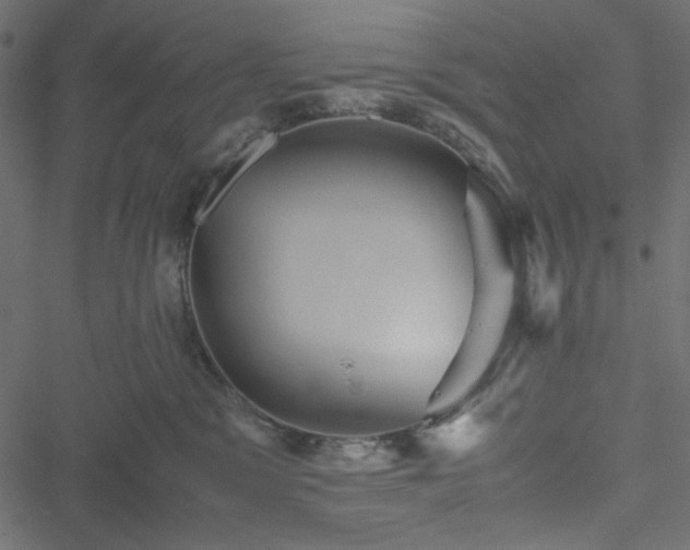 X0000051240329200506171116