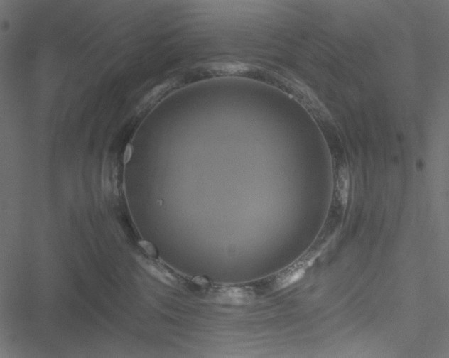 X0000051240330200506171116