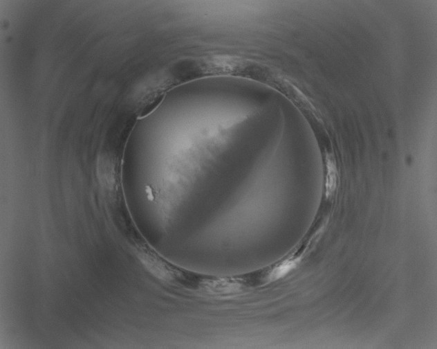 X0000051240331200506171116