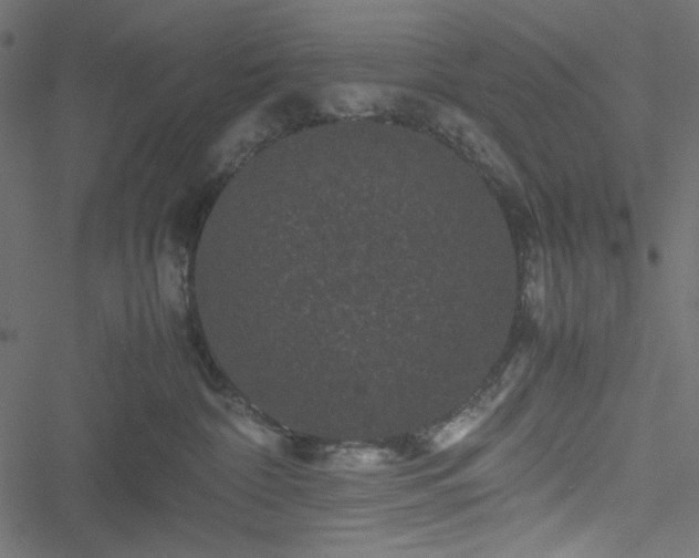 X0000051240332200506171116