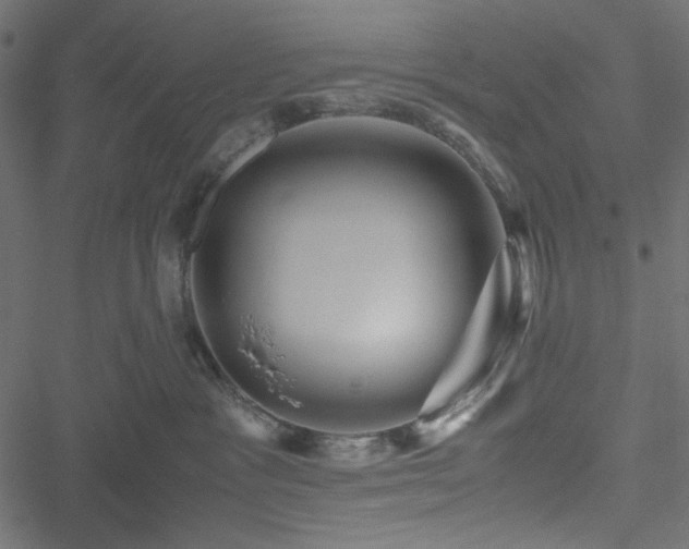 X0000051240333200506171116