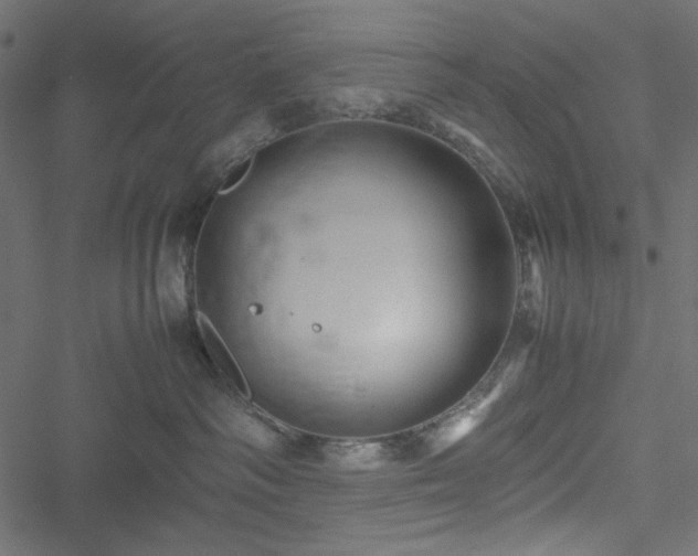 X0000051240334200506171116