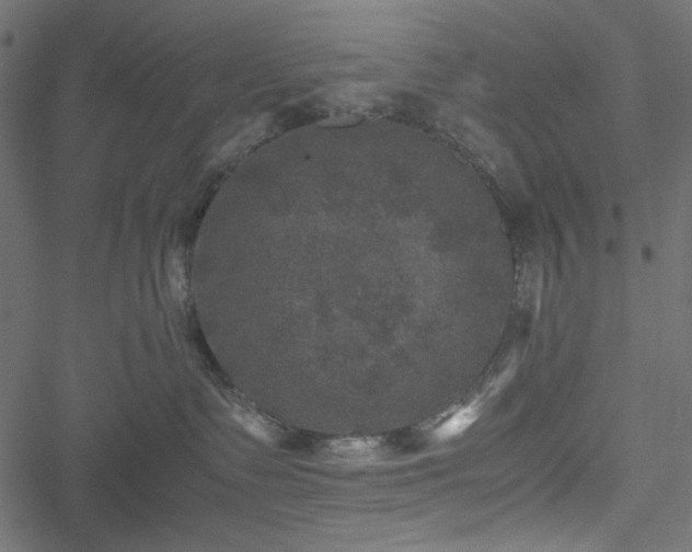 X0000051240335200506171116