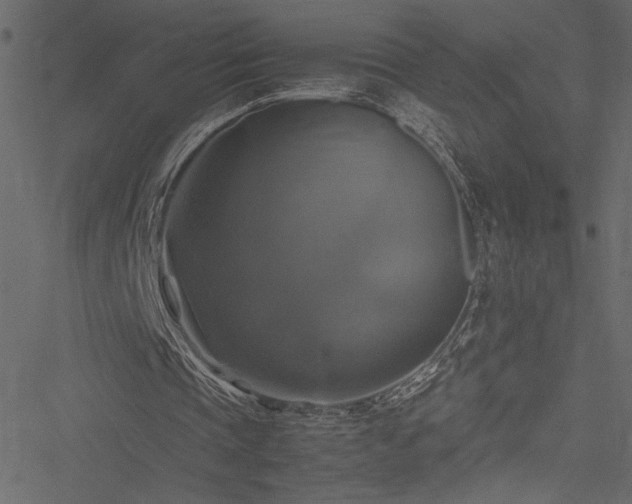 X0000051240337200506171116