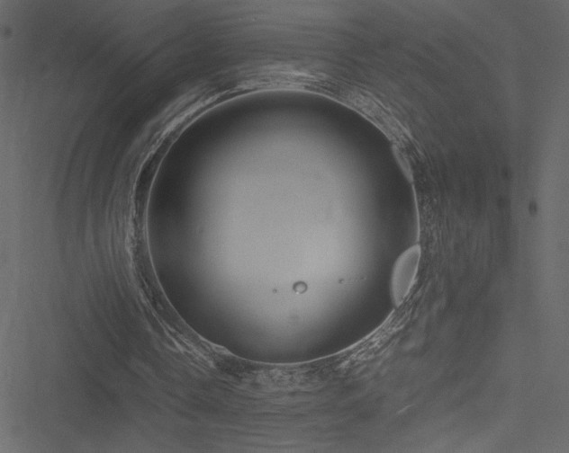 X0000051240338200506171116