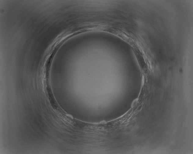 X0000051240339200506171116