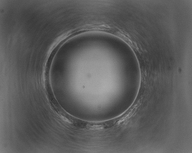 X0000051240340200506171116