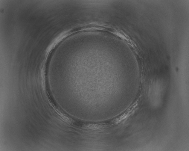 X0000051240341200506171116