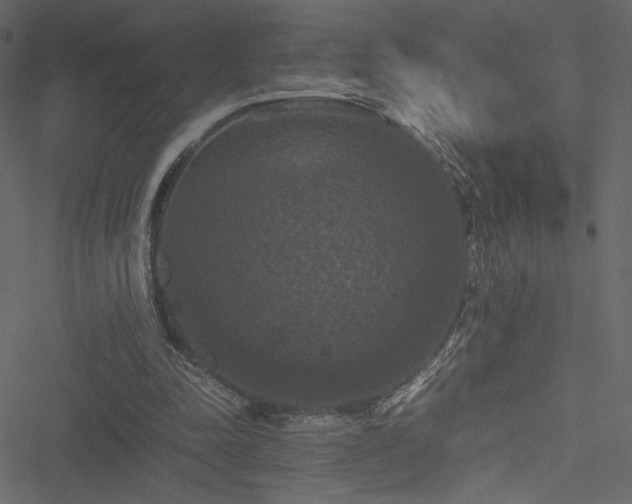 X0000051240342200506171116