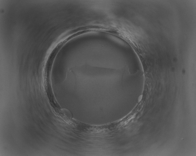 X0000051240343200506171116