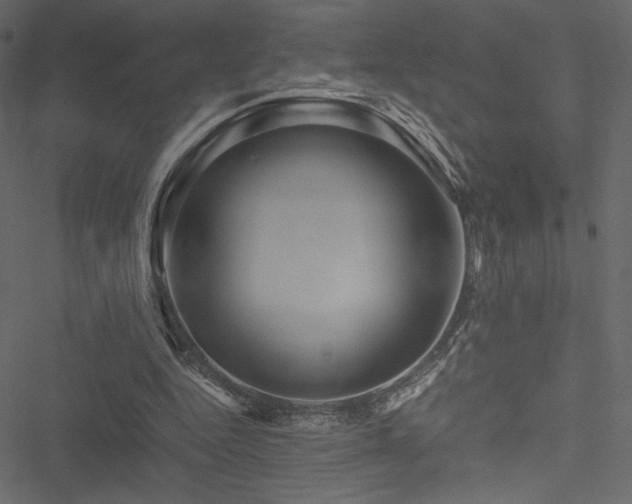 X0000051240344200506171116