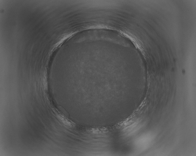 X0000051240345200506171116