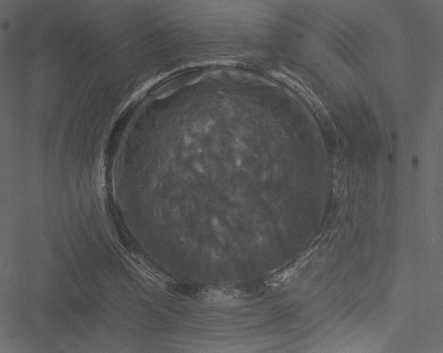 X0000051240346200506171116