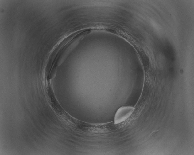 X0000051240347200506171116