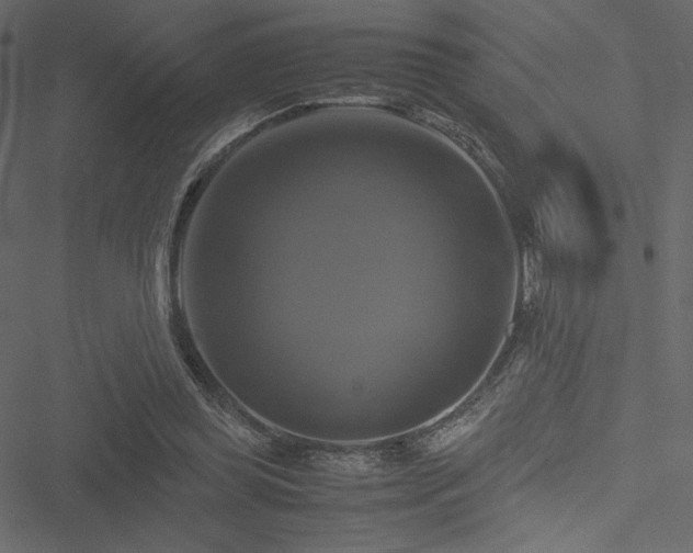 X0000051240349200506171116