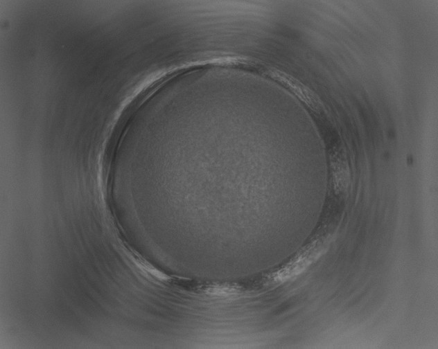 X0000051240350200506171116