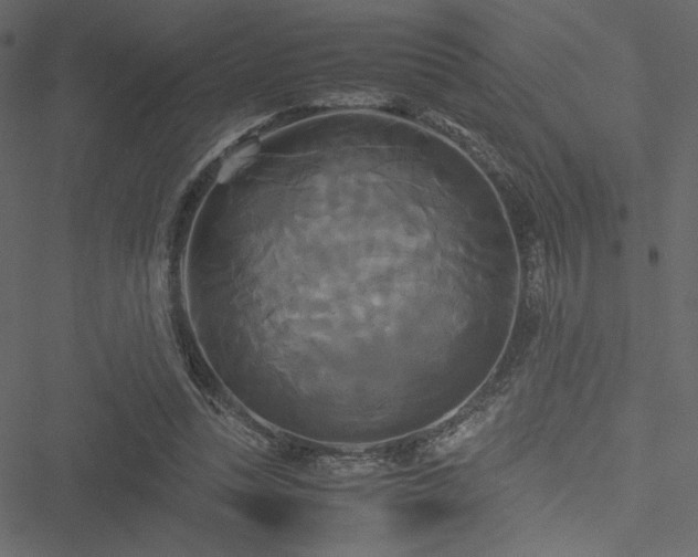 X0000051240351200506171116