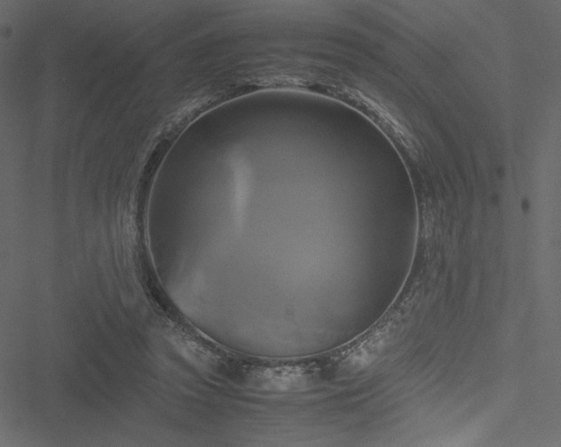 X0000051240353200506171116