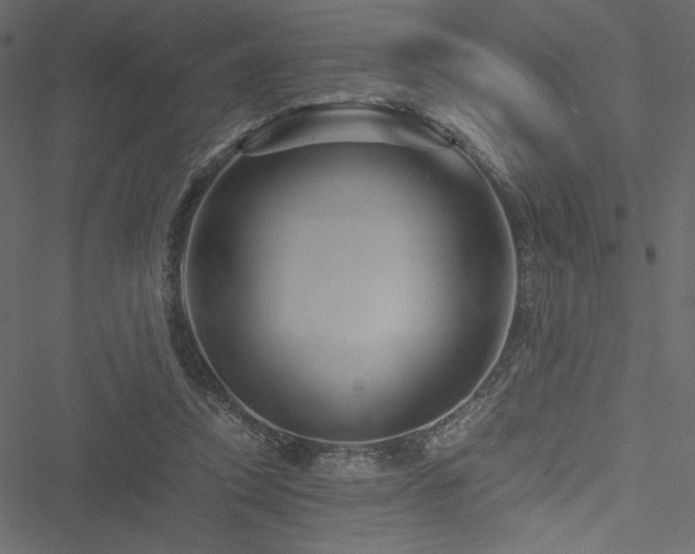 X0000051240354200506171116