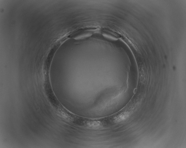 X0000051240355200506171116