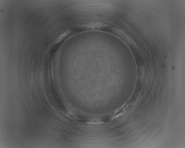 X0000051240356200506171116