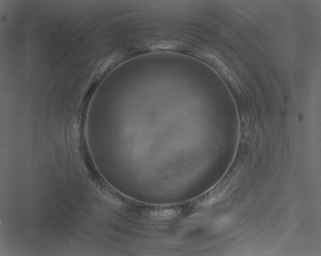 X0000051240357200506171116